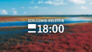 Schleswig Holstein 18:00 - Copyright: NDR
