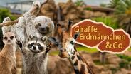 Logo für Giraffe, Erdmännchen & Co