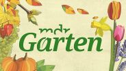 MDR Garten Logo2020 - Copyright: © MDR